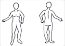Women's Outline