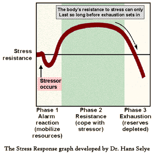 The Stress Response 